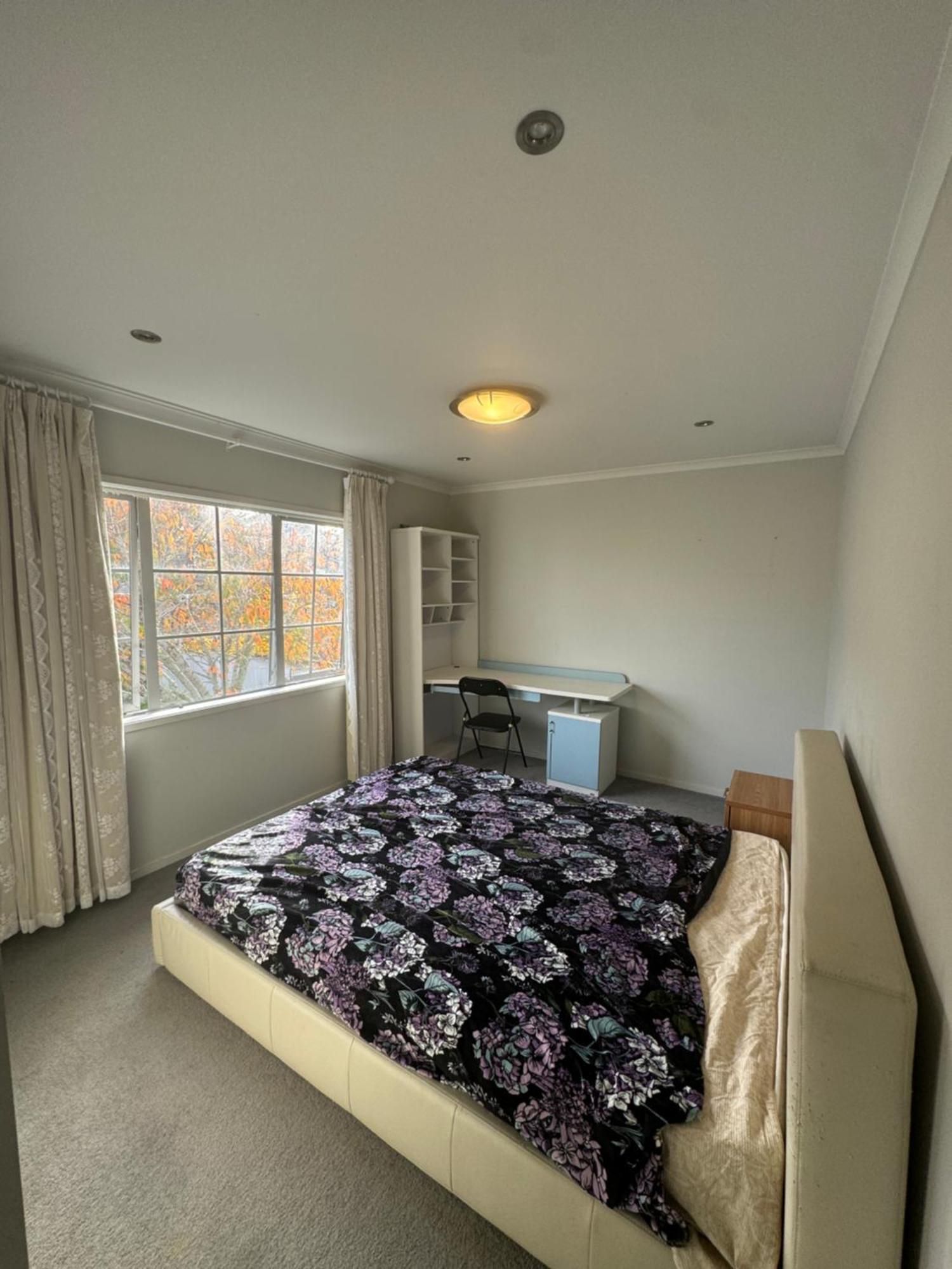 Epsom Homestay Auckland